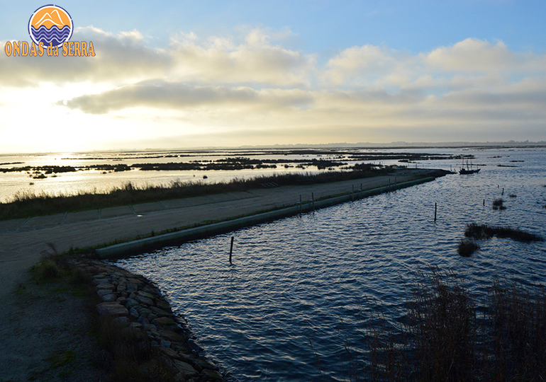 Percurso das Ribeiras de Pardilhó - Ribeira das Teixugueiras