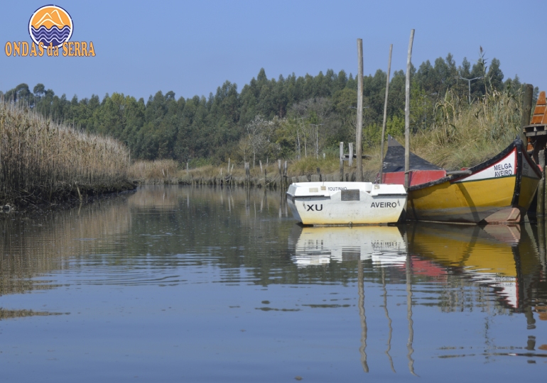 Ribeira do Mourão - Ria de Aveiro - Avanca