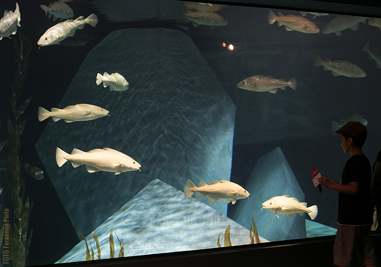 Museu Marítimo de Ílhavo