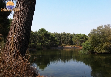 Parque Ambiental do Buçaquinho: O amante da Natureza