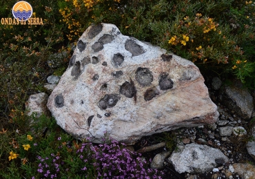 Pedras parideiras que dão à luz na aldeia da Castanheira