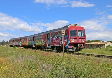 Vouguinha: Único comboio de via-férrea estreita em Portugal