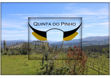 A Quinta do Pinho