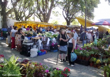 Mercado semanal de Espinho